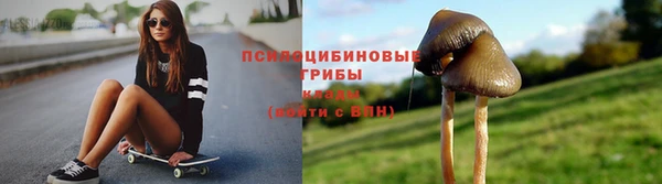 дмт Алзамай