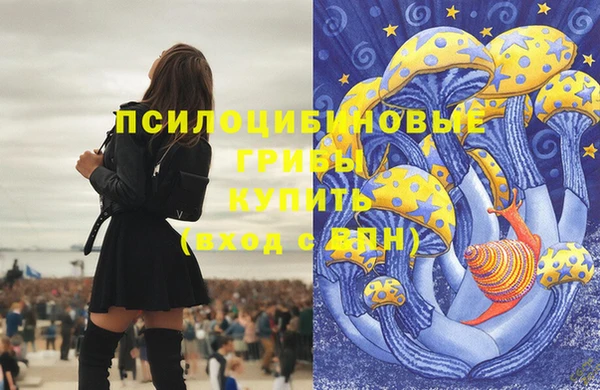дмт Алзамай