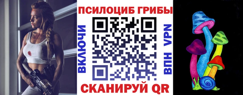 кракен зеркало  Пикалёво  Галлюциногенные грибы Psilocybe 